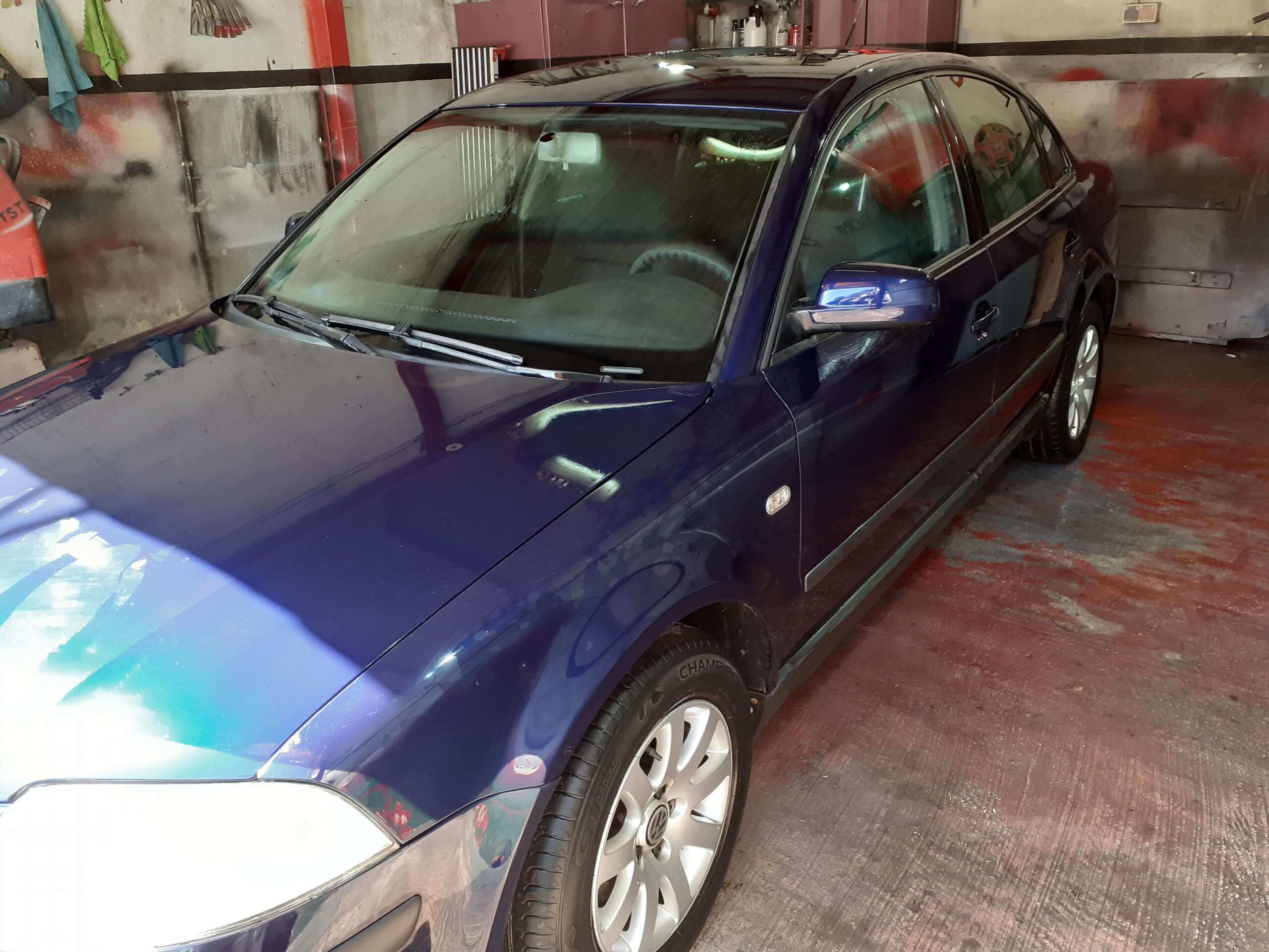 20250429_170332 passat